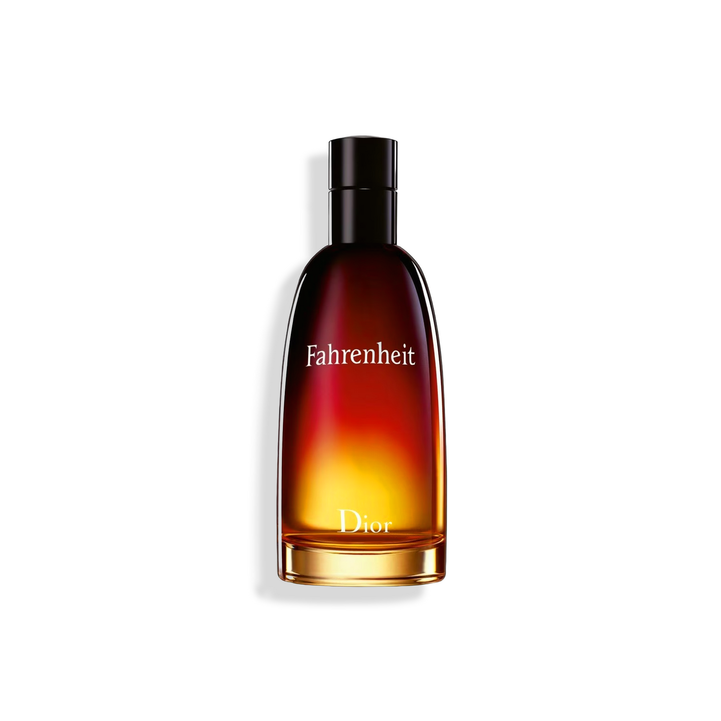 Fahrenheit Dior Alternative By Le Reve