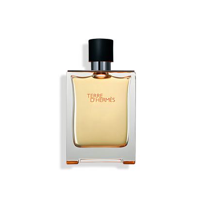 Terre D'Hermes Alternative by Le Reve