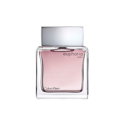 Euphoria Men CK Alternative By Le Reve