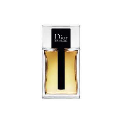 Dior Homme 2020 Alternative By Le Reve