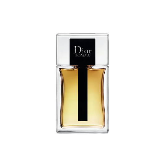 Dior Homme 2020 Alternative By Le Reve
